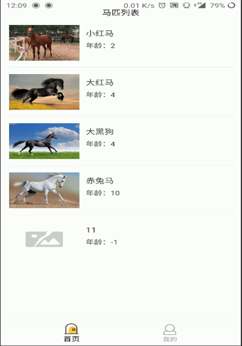 基于安卓平台的世界马品种展示与查询系统
